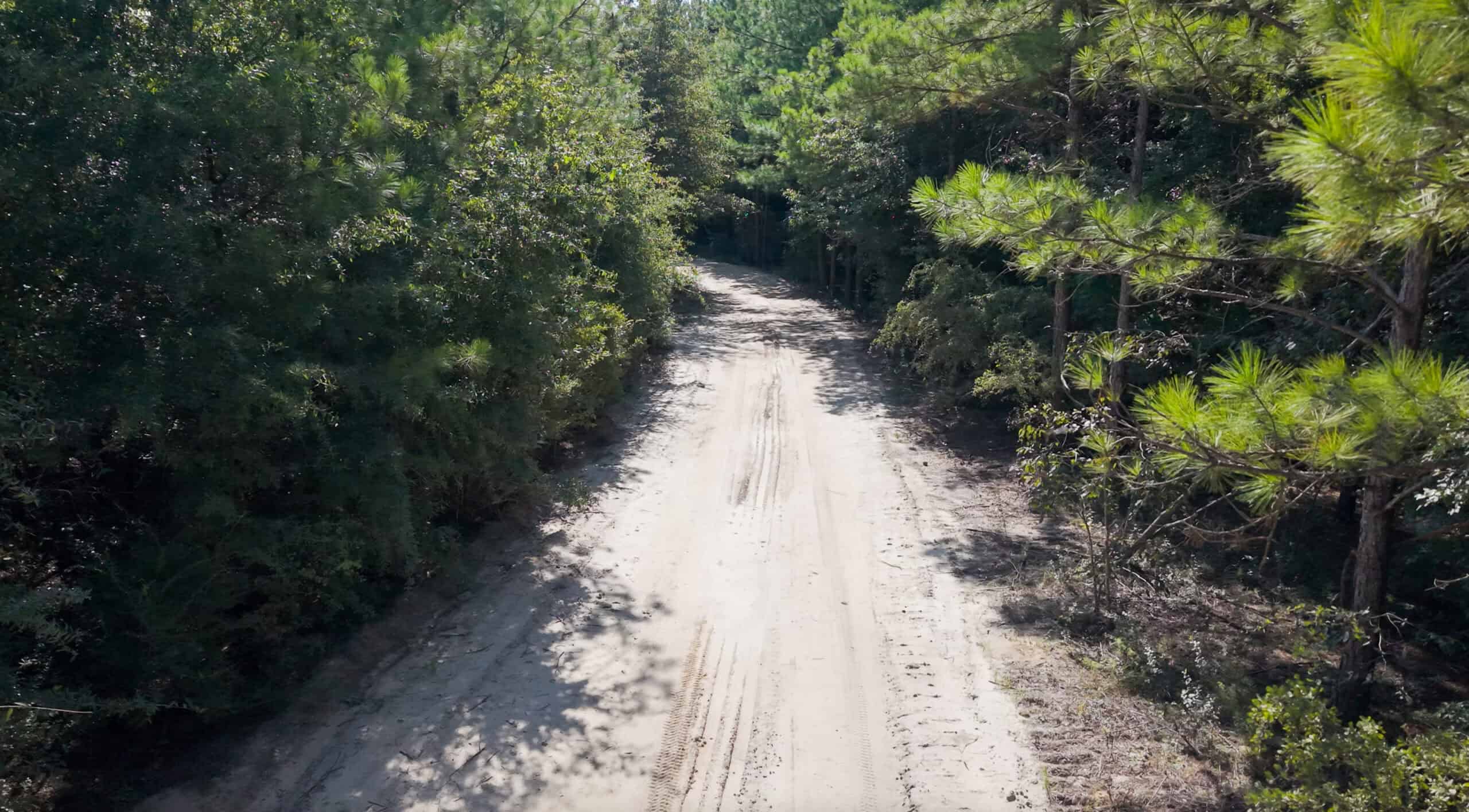 224.56 Acres | Buck Creek 224 | Montezuma, GA